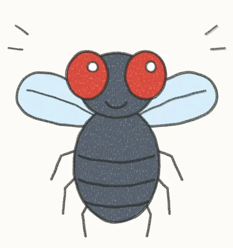 How to Draw a Cartoon Fly, step 7 of 7: color your fly, pencil drawing
