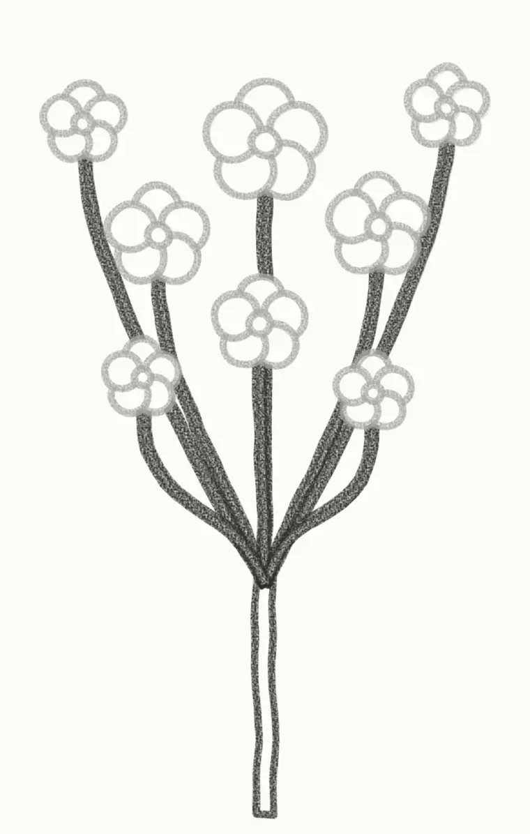 How to Draw a Cartoon Forget Me Not, step 4: draw the stems