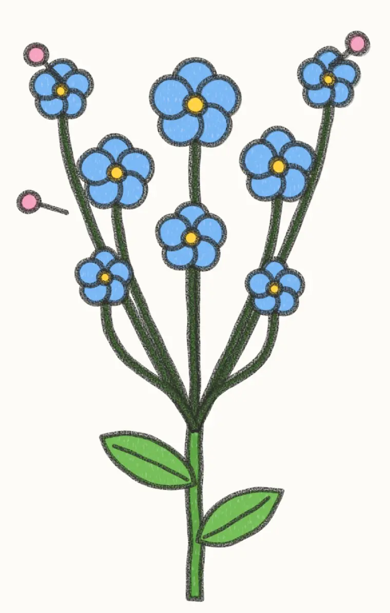 How to Draw a Cartoon Forget Me Not, step 7 of 7: color your forget me not, pencil drawing