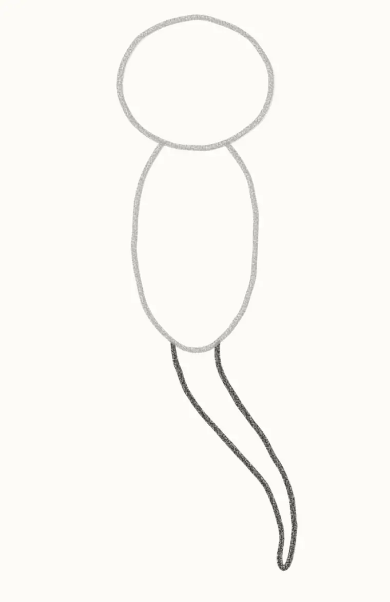 How to Draw a Cartoon Gecko, step 3: draw the tail
