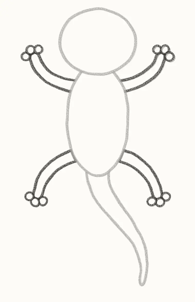 How to Draw a Cartoon Gecko, step 4: add the legs and toes