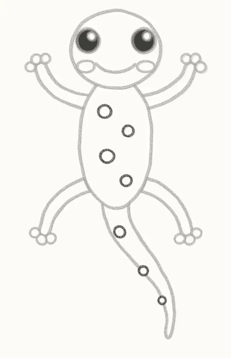 How to Draw a Cartoon Gecko, step 6: draw the spots