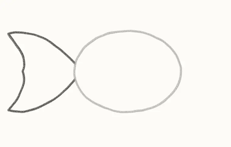 How to Draw a Cartoon Goldfish, step 2: add the flowing tail
