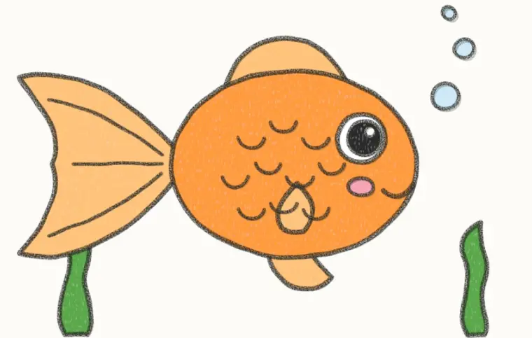 How to Draw a Cartoon Goldfish, step 7 of 7: color your goldfish, pencil drawing
