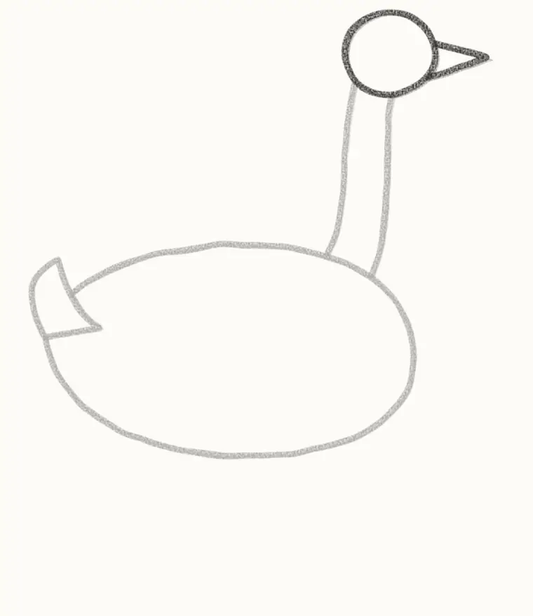 How to Draw a Cartoon Goose, step 3: add the head and beak