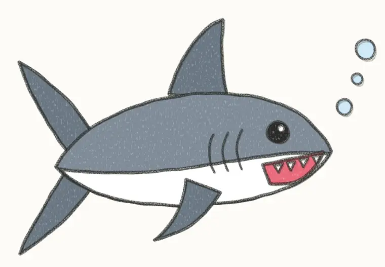 How to Draw a Cartoon Great White Shark, step 7 of 7: color your great white shark, pencil drawing
