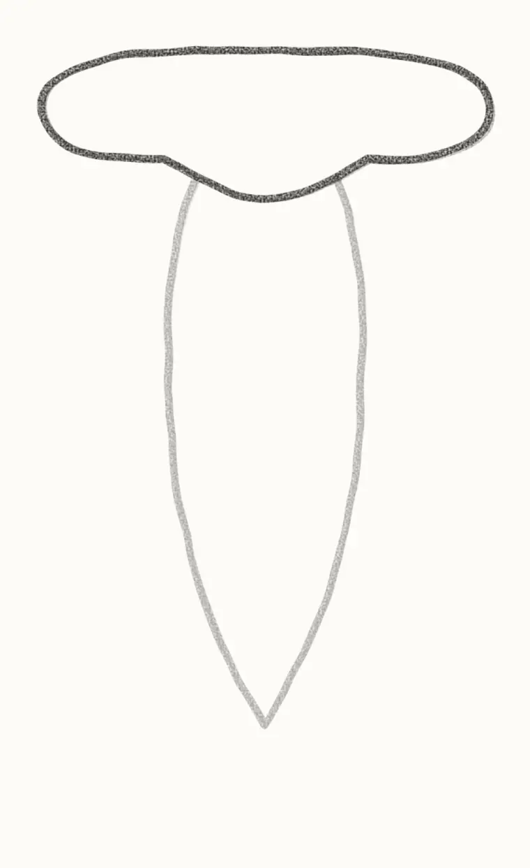 How to Draw a Cartoon Hammerhead Shark, step 2: add the hammer head