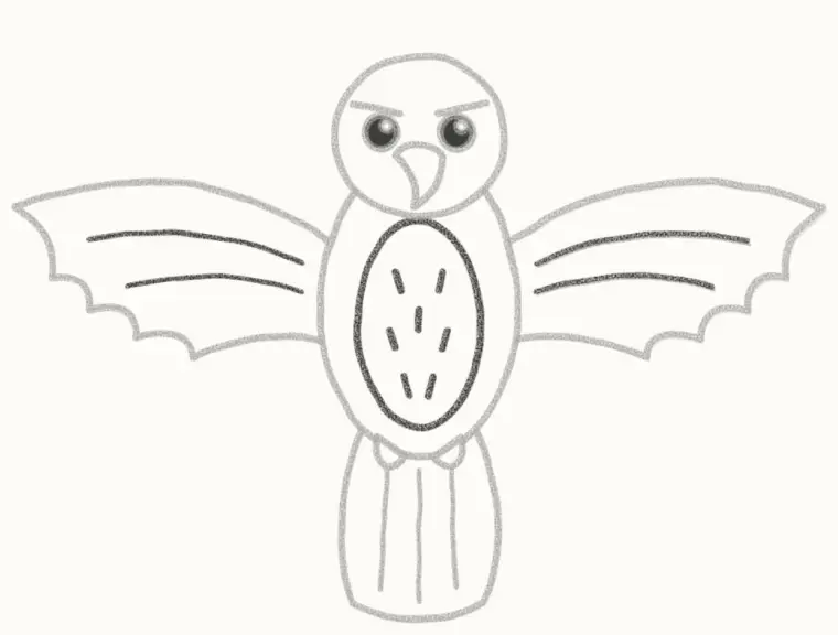 How to Draw a Cartoon Hawk, step 6: draw the chest and wing lines