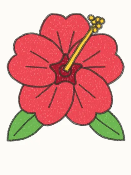 Finished cartoon hibiscus drawing, coloured