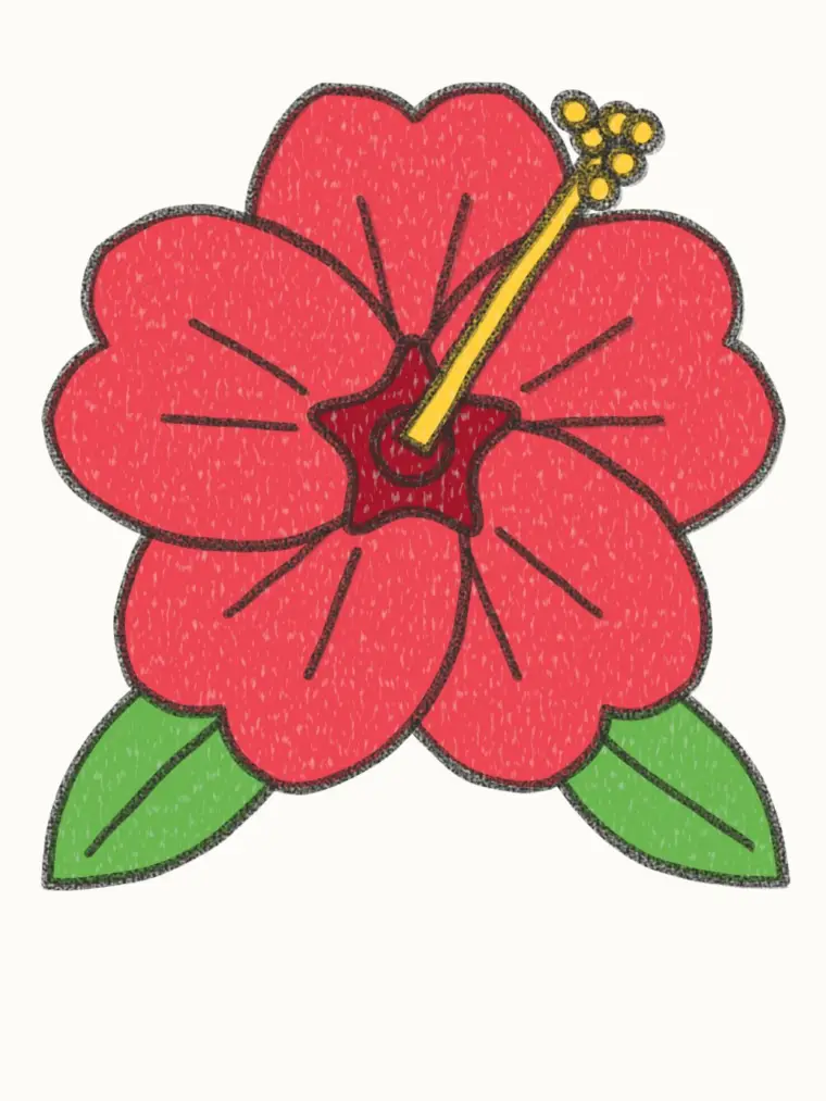How to Draw a Cartoon Hibiscus, step 7 of 7: color your hibiscus, pencil drawing