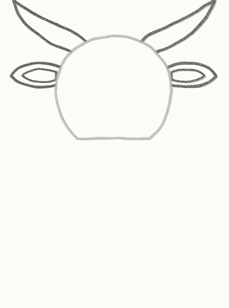 How to Draw a Cartoon Highland Cow, step 2: add the long horns and ears