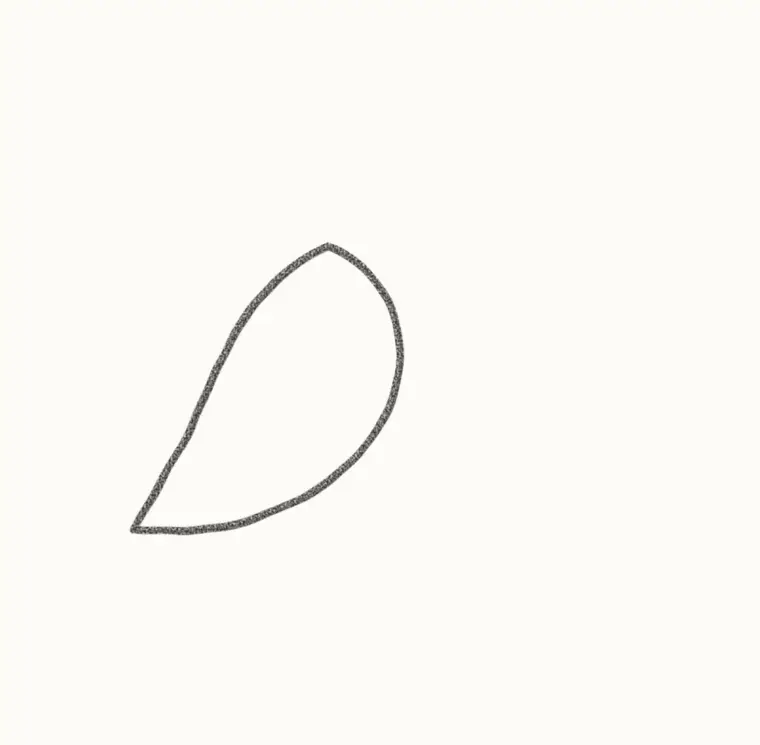 How to Draw a Cartoon Hummingbird, step 1: draw the body