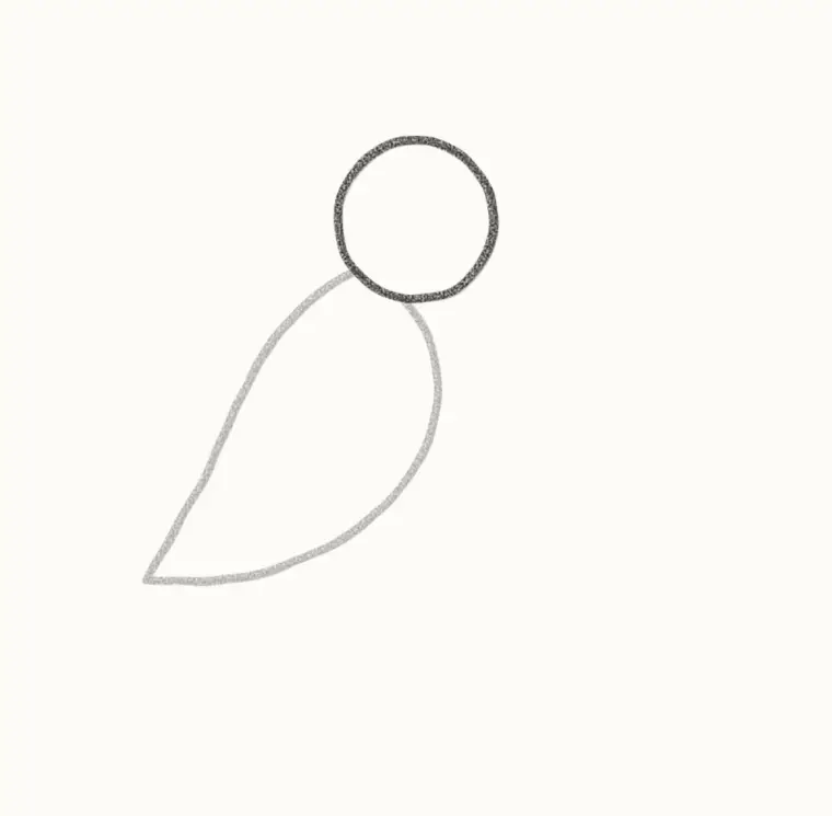 How to Draw a Cartoon Hummingbird, step 2: add the head