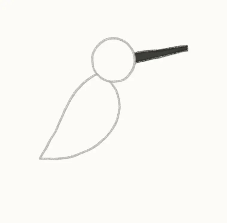 How to Draw a Cartoon Hummingbird, step 3: draw the long beak