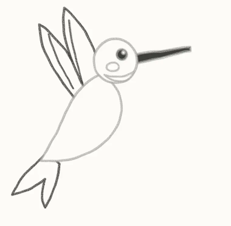 How to Draw a Cartoon Hummingbird, step 5: add the wings and tail