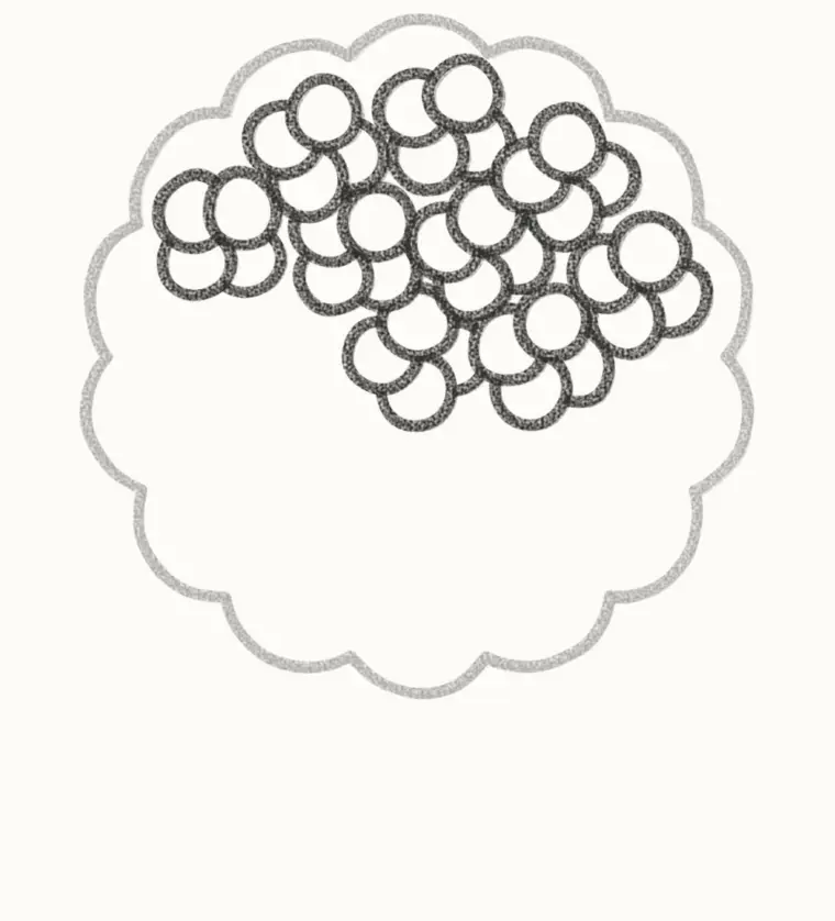 How to Draw a Cartoon Hydrangea, step 2: draw the top flowers