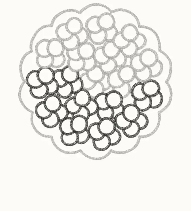 How to Draw a Cartoon Hydrangea, step 3: fill the bottom half