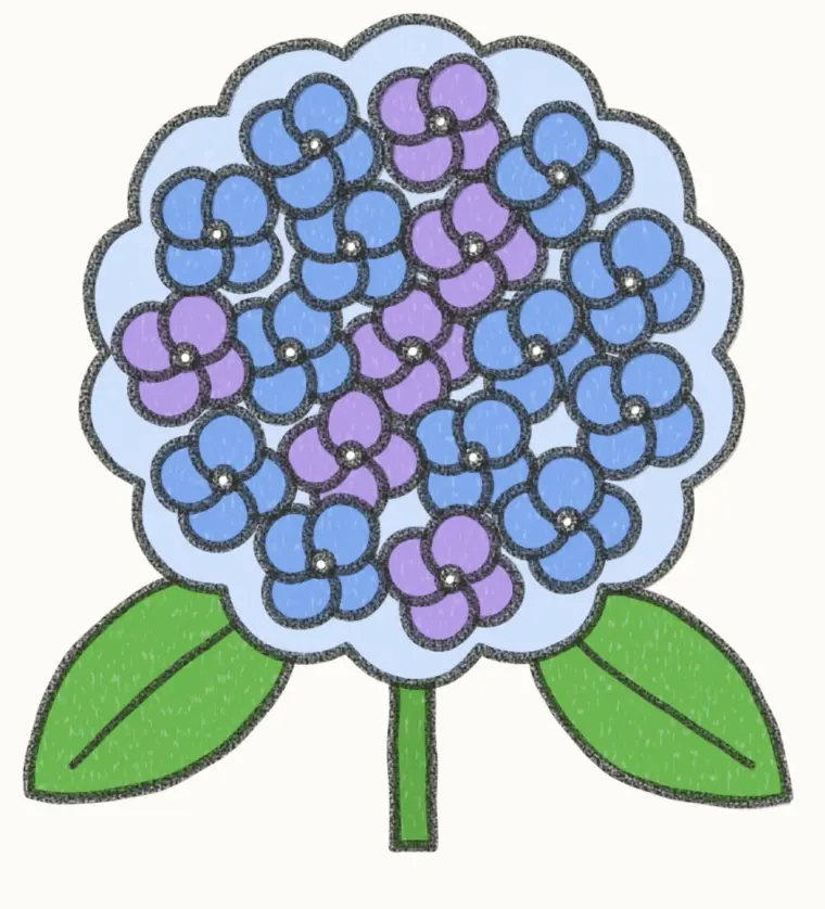 How to Draw a Cartoon Hydrangea, step 7 of 7: color your hydrangea, pencil drawing