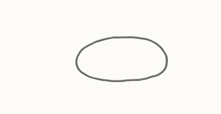 How to Draw a Cartoon Iguana, step 1: draw the body