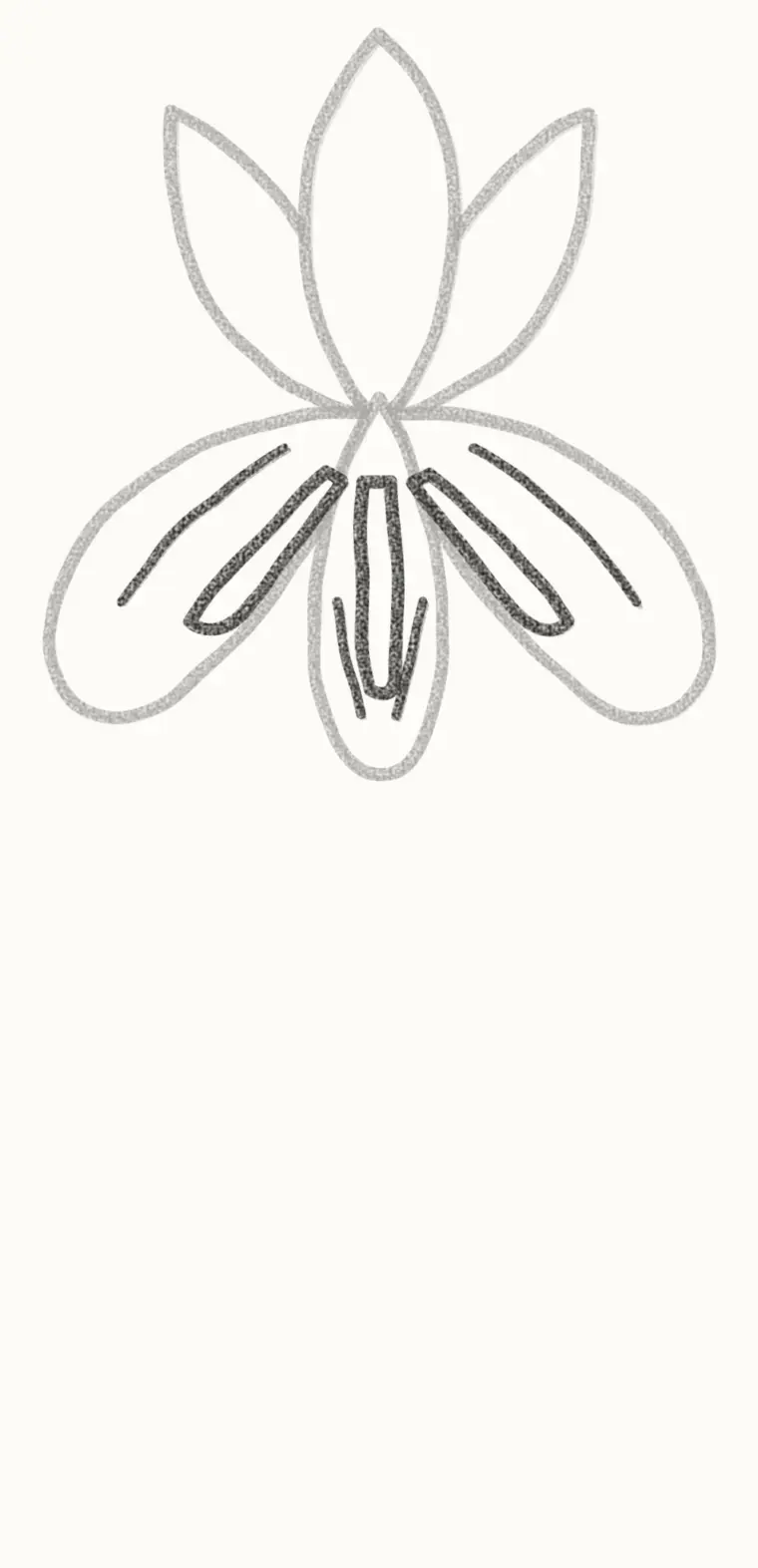 How to Draw a Cartoon Iris, step 4: add the yellow stripes
