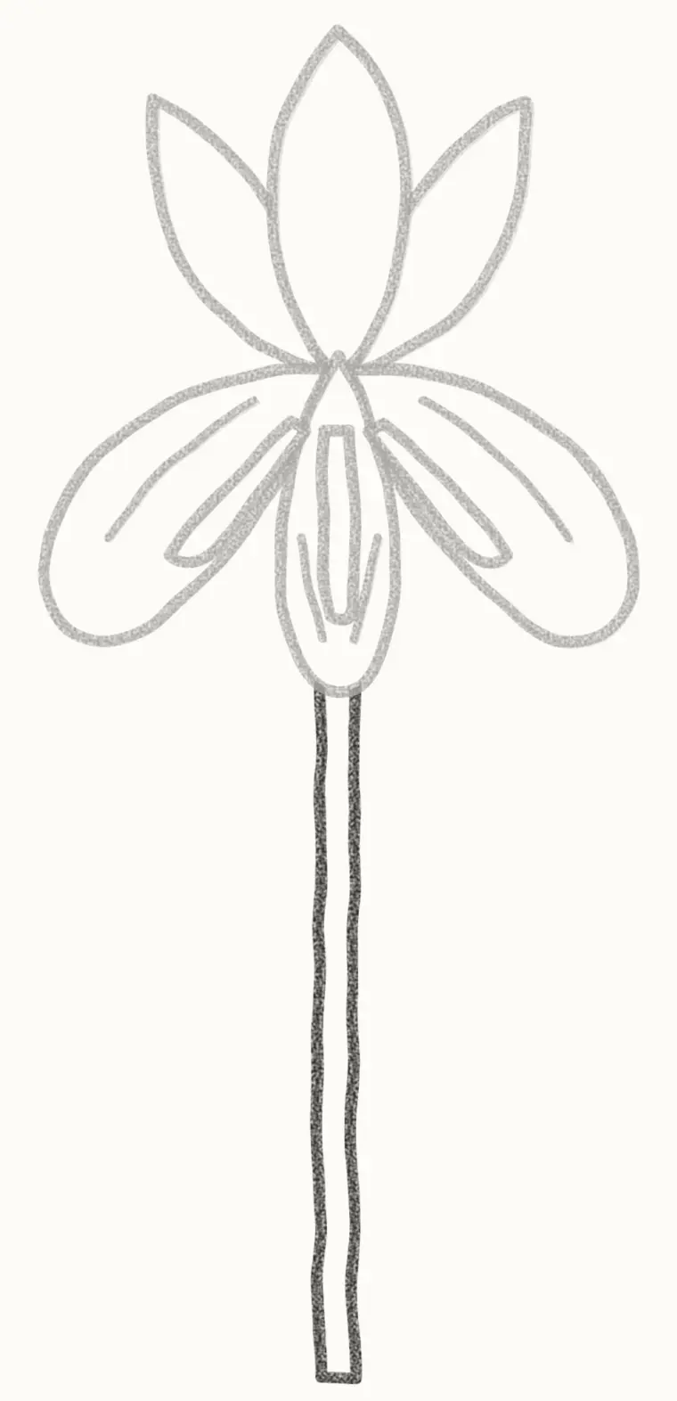 How to Draw a Cartoon Iris, step 5: draw the stem