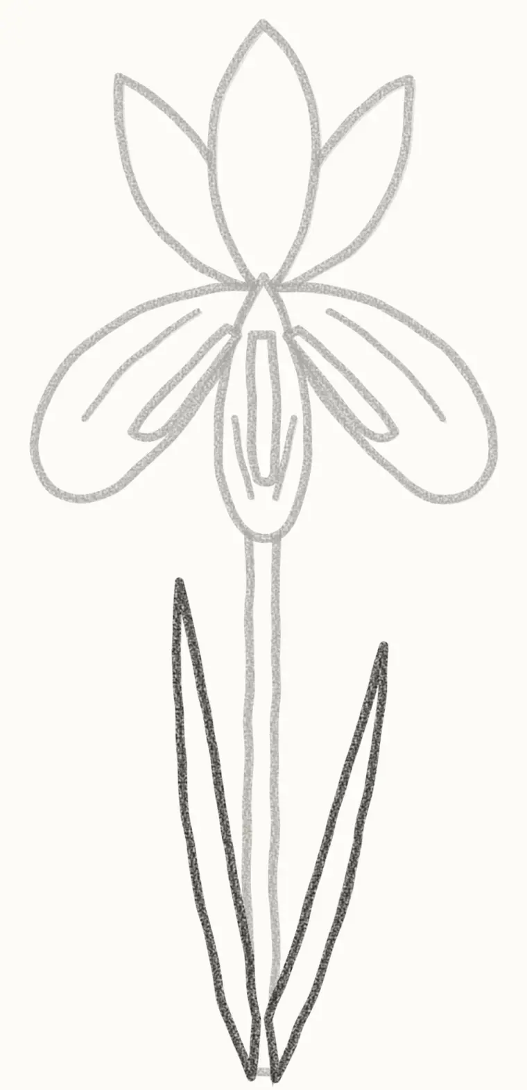 How to Draw a Cartoon Iris, step 6: add the sword leaves
