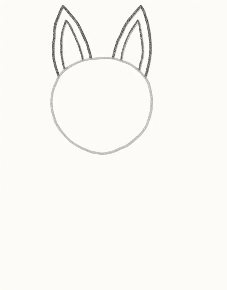 How to Draw a Cartoon Jackal, step 2: add the tall ears