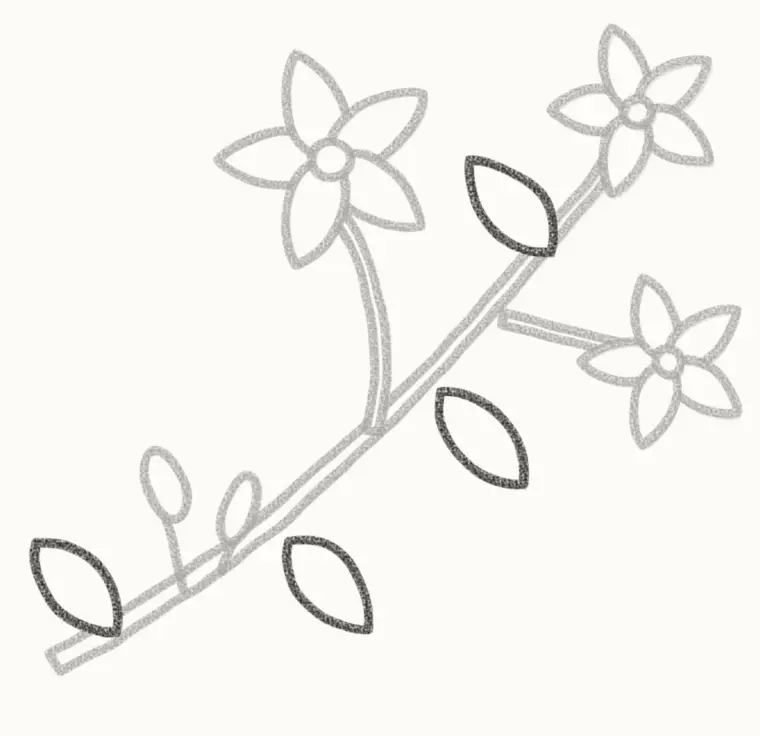 How to Draw a Cartoon Jasmine, step 5: add the leaves