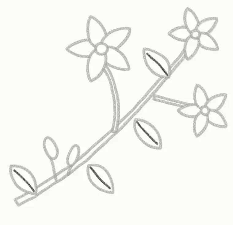 How to Draw a Cartoon Jasmine, step 6: add the lines