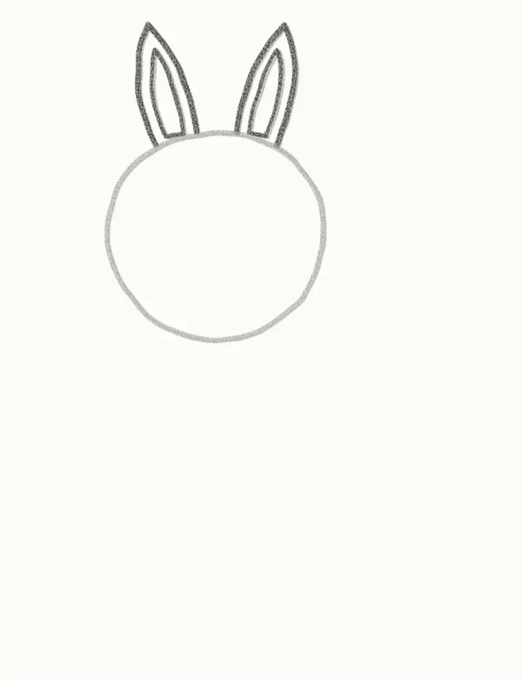 How to Draw a Cartoon Kangaroo, step 2: add the tall ears