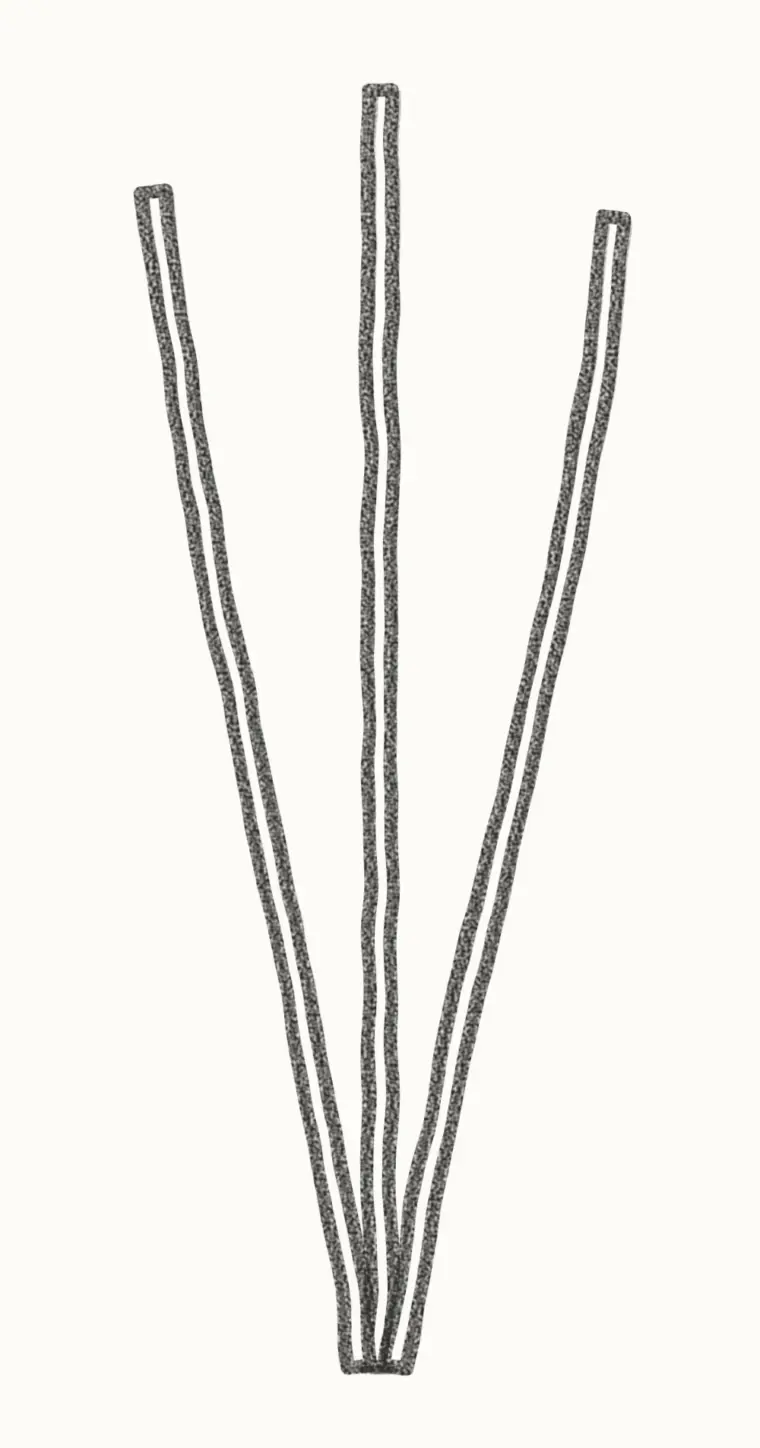 How to Draw a Cartoon Lavender, step 1: draw three stems