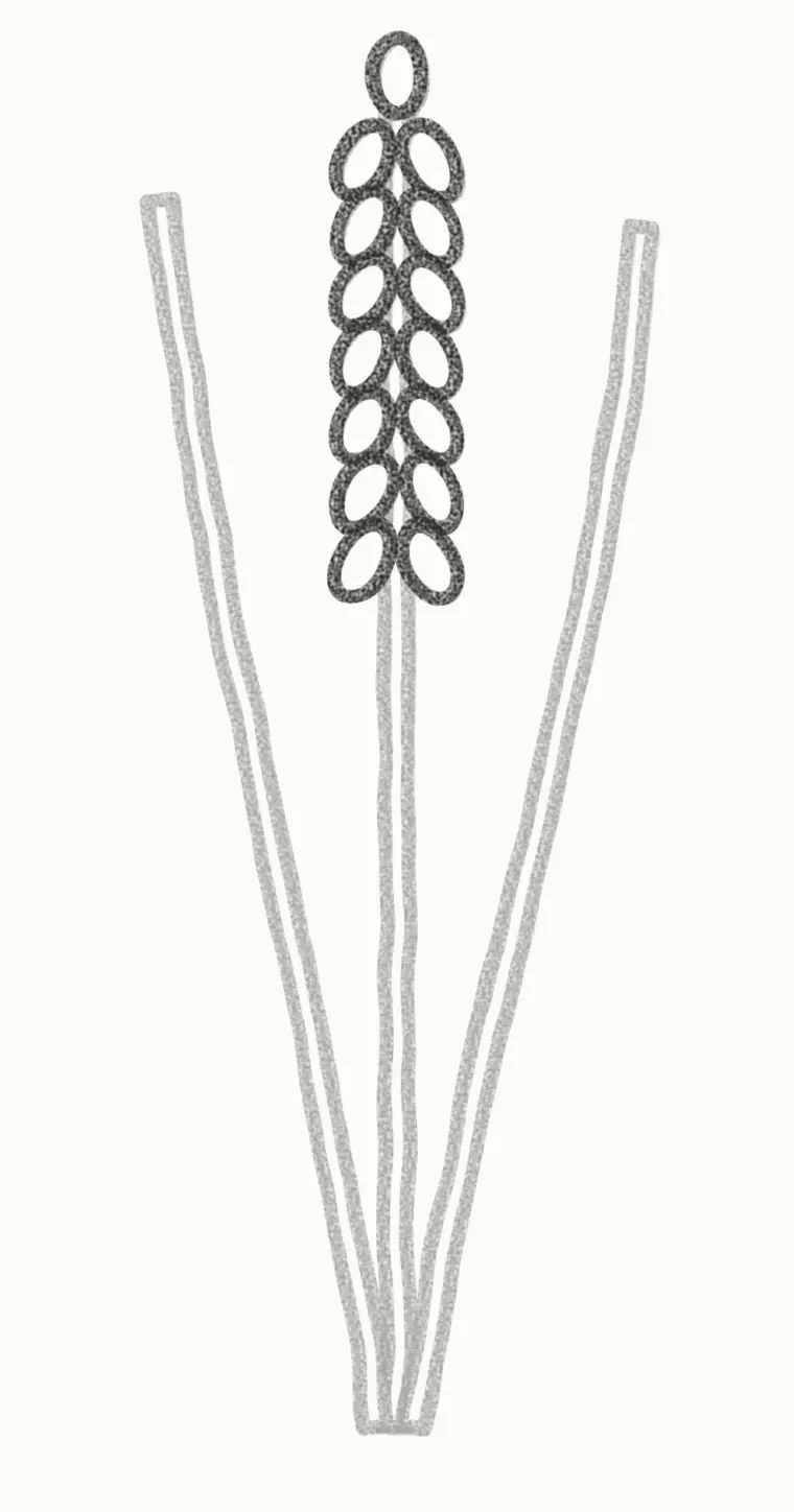 How to Draw a Cartoon Lavender, step 2: add buds to the middle stem