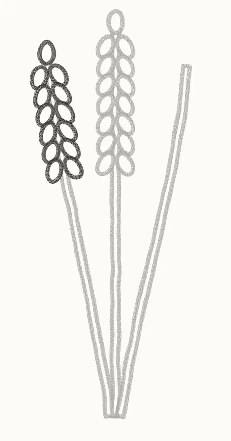 How to Draw a Cartoon Lavender, step 3: add buds to the left stem