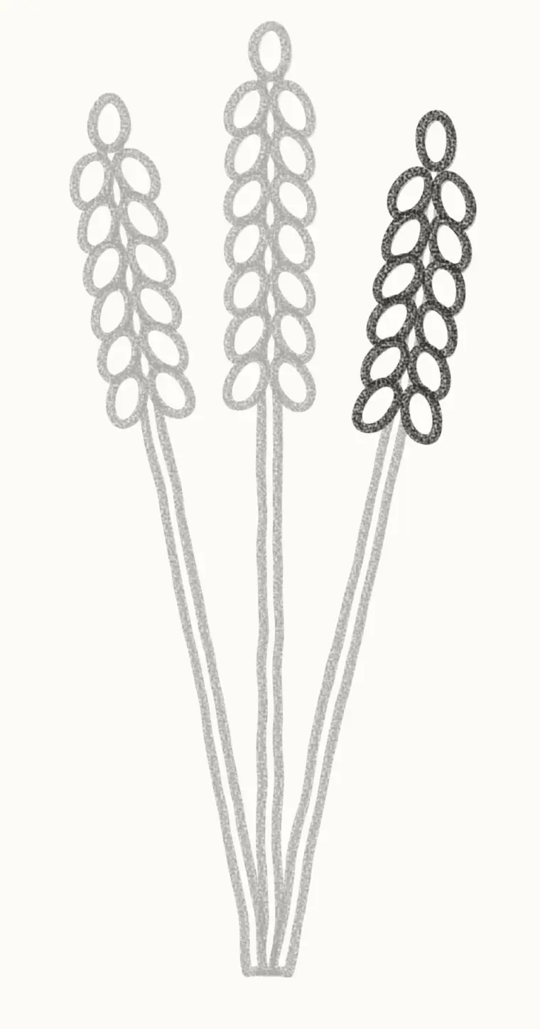 How to Draw a Cartoon Lavender, step 4: add buds to the right stem