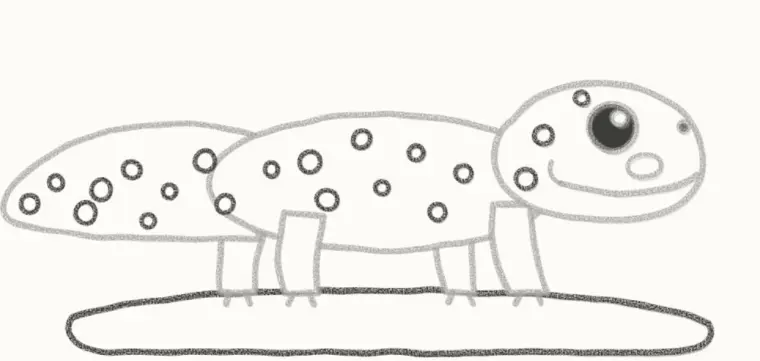 How to Draw a Cartoon Leopard Gecko, step 6: add the spots and a rock