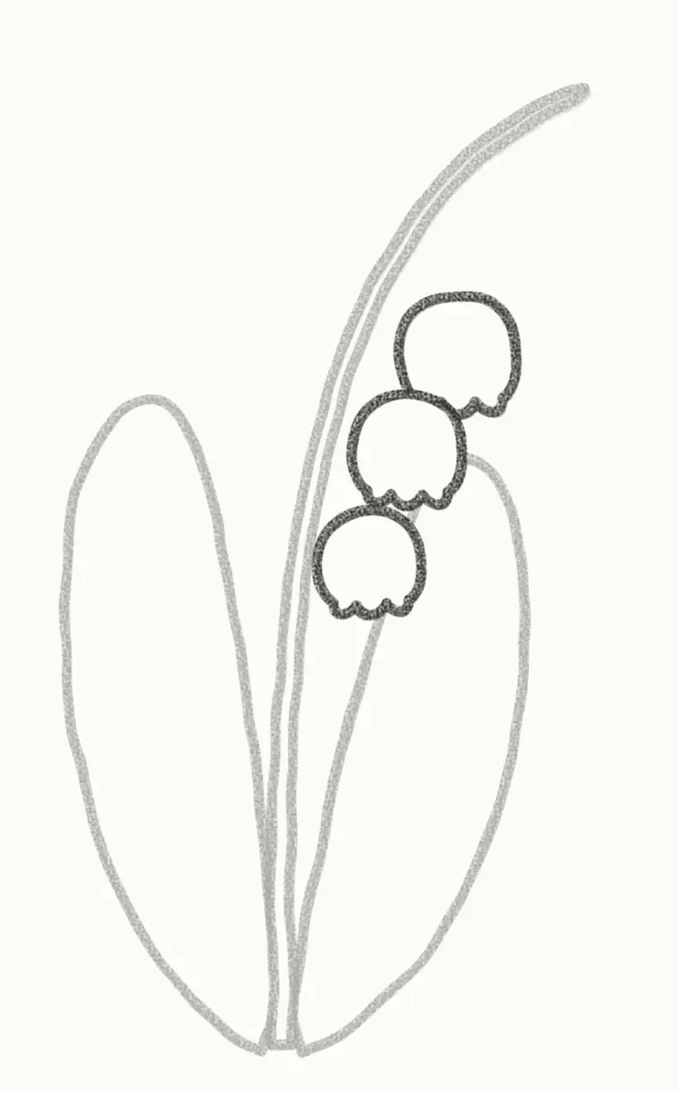 How to Draw a Cartoon Lily of the Valley, step 3: draw the first bells