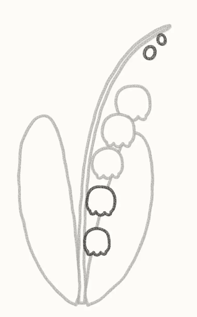 How to Draw a Cartoon Lily of the Valley, step 4: add more bells and buds