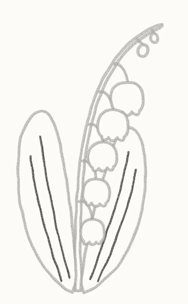 How to Draw a Cartoon Lily of the Valley, step 6: add the leaf lines
