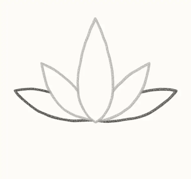 How to Draw a Cartoon Lotus, step 3: draw the bottom petals