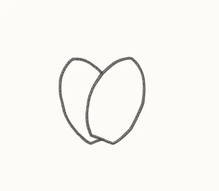 How to Draw a Cartoon Magnolia, step 1: draw the front petals