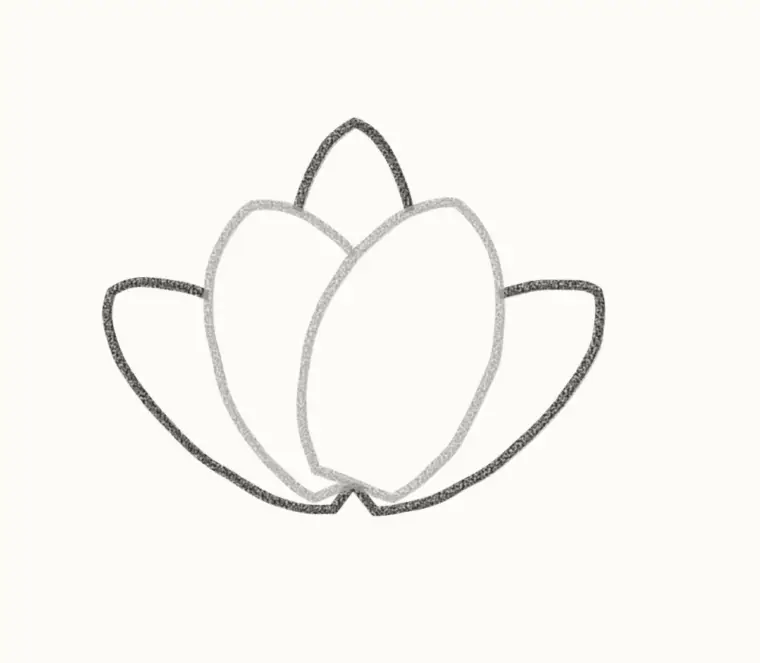 How to Draw a Cartoon Magnolia, step 2: add the back petals