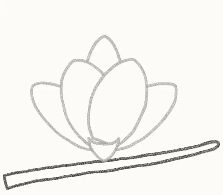 How to Draw a Cartoon Magnolia, step 4: draw the branch