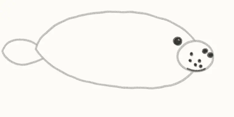 How to Draw a Cartoon Manatee, step 4: draw the face