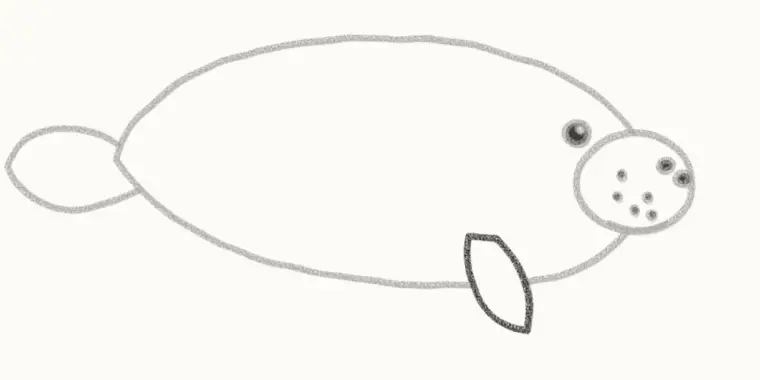 How to Draw a Cartoon Manatee, step 5: add the flipper