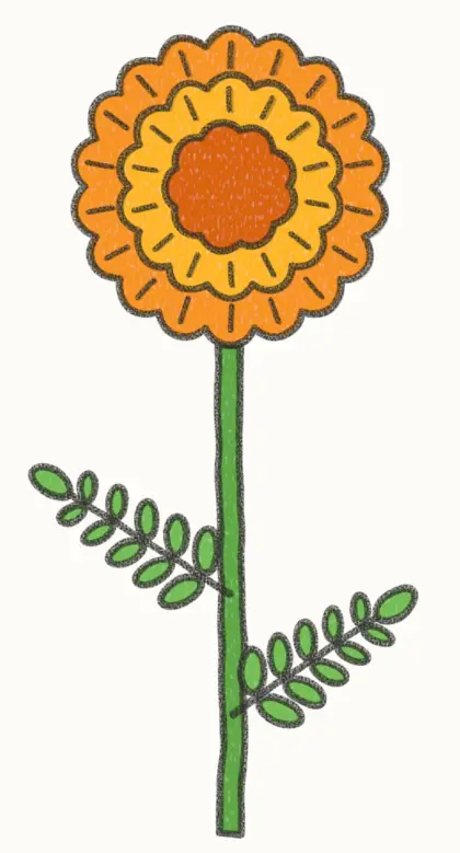 Finished cartoon marigold drawing, coloured