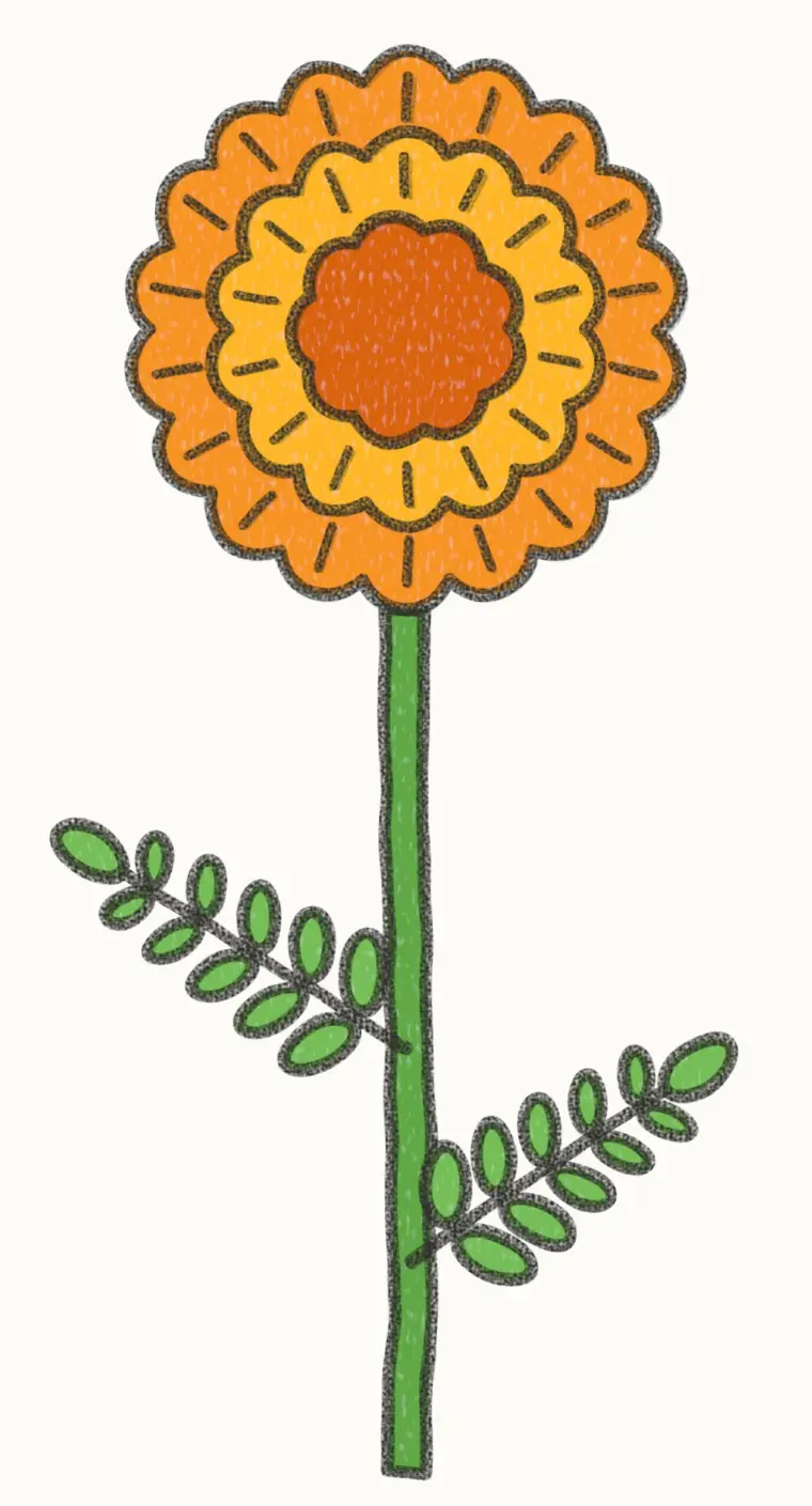 How to Draw a Cartoon Marigold, step 7 of 7: color your marigold, pencil drawing