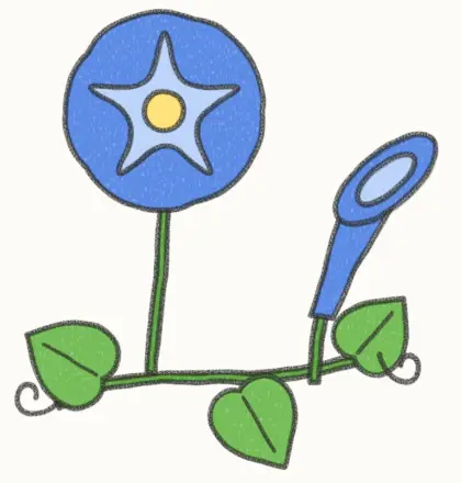 Finished cartoon morning glory drawing, coloured