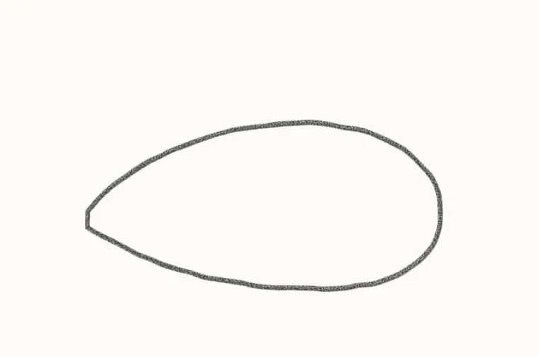 How to Draw a Cartoon Orca, step 1: draw the body
