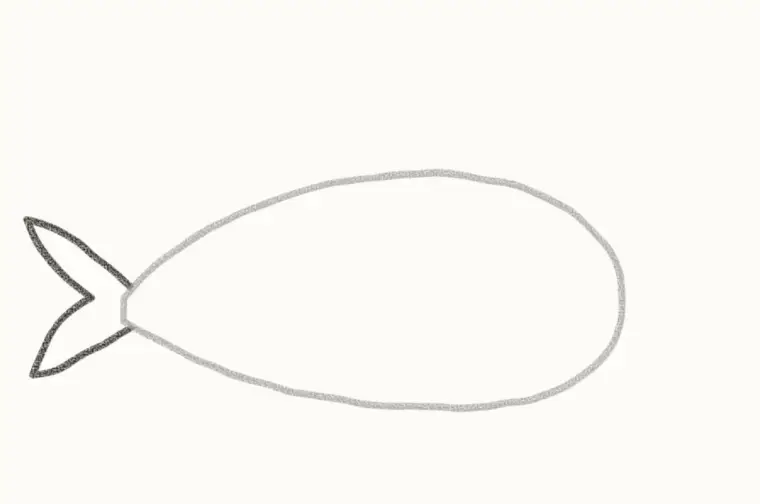 How to Draw a Cartoon Orca, step 2: add the tail