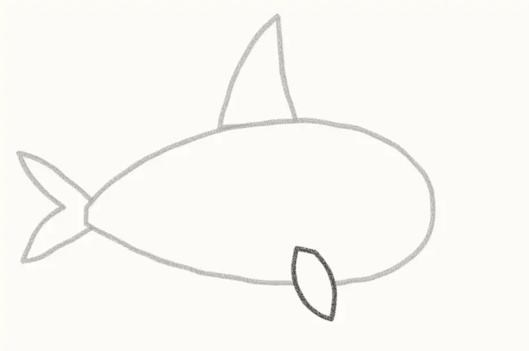 How to Draw a Cartoon Orca, step 4: add the flipper
